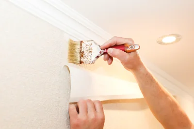 Pose de papier peint à Técou — revêtements muraux et toiles de verre